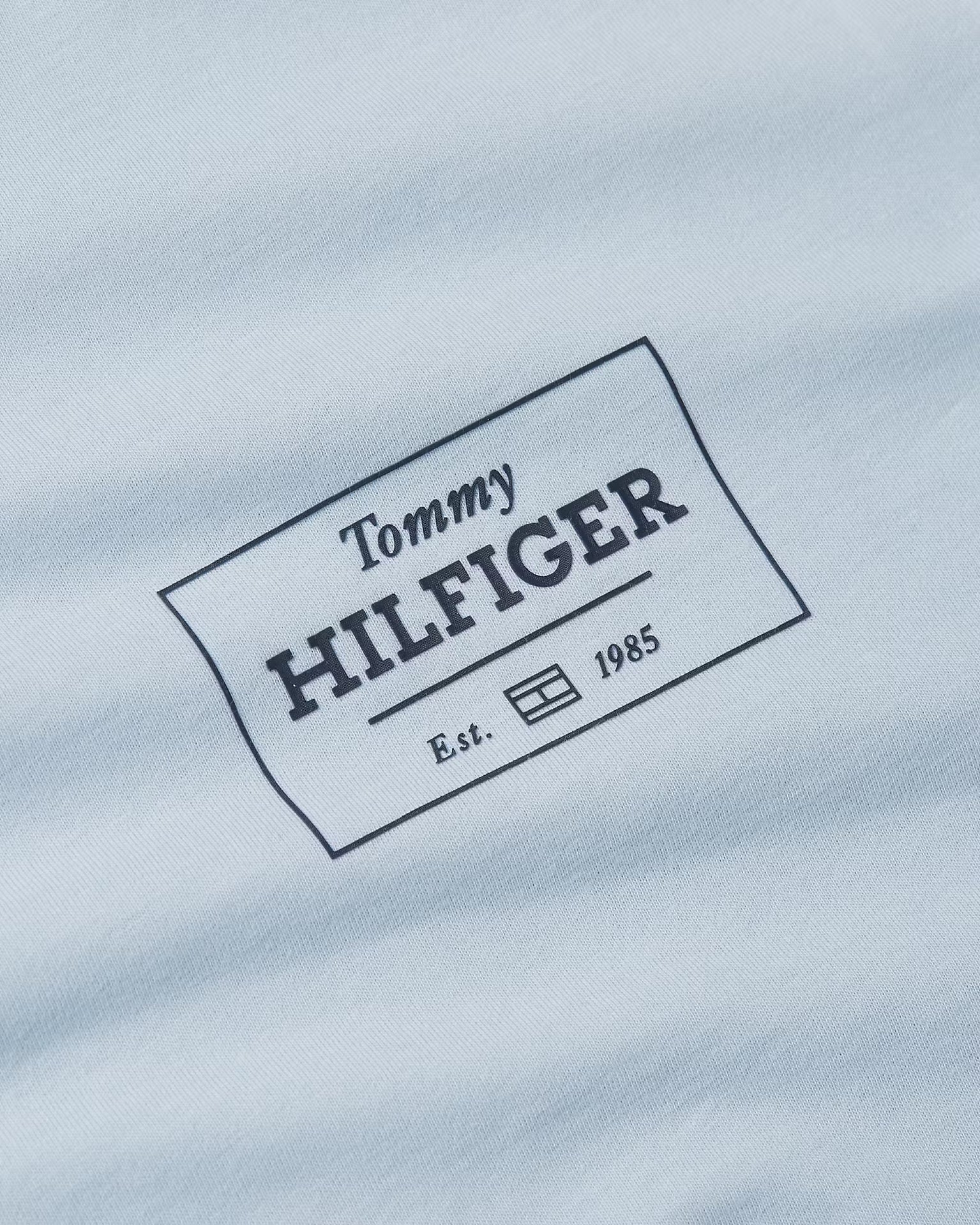 Tommy Hilfiger T-shirts / Polo mw0mw37454-c10_2XL - Bygholm Menswear